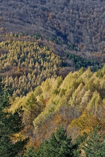 Nawarra - zwiedzanie, zabytki i atrakcje turystyczne