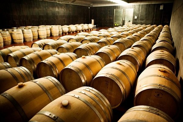 bodega castell d encus.jpg