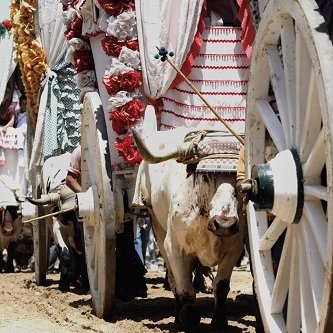 Romería del Rocío - fiesta w Andaluzji
