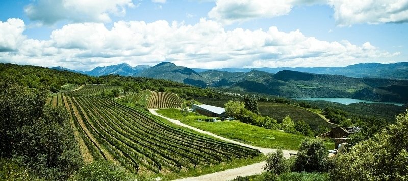 Wina z Costers del Segre - Castell d'Encus