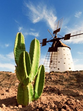 Fuerteventura - co zwiedzić, atrakcje turystyczne