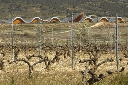 Wino Rioja 3.jpg