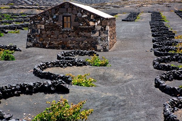 La Geria - Lanzarote 6.jpg