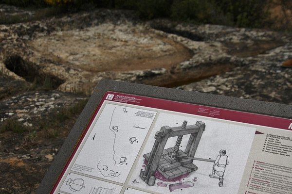 labastida bodega 7.jpg