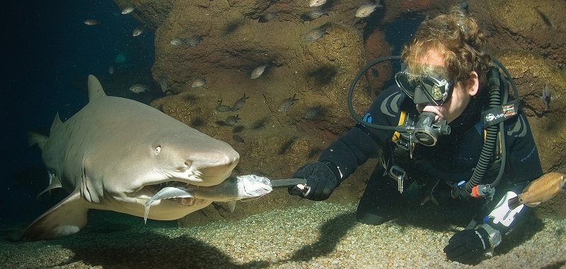 Oceanarium na Majorce - Aquarium Palma de Mallorca
