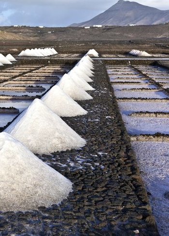 Lanzarote - Salinas del Janubio.jpg