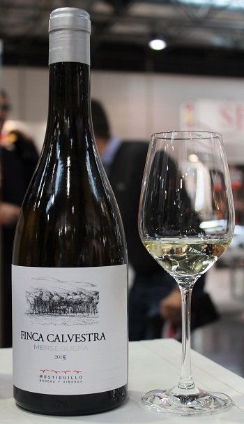Finca Calvestra Merseguera 2015 - wino hiszpańskie