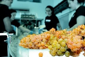 Pazo Baión - producent win z hiszpańskiej Galicji 
