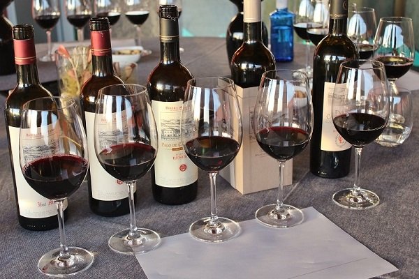pago de carraovejas 11.jpg