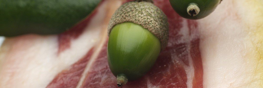 Hiszpańska szynka dojrzewająca - jamón ibérico