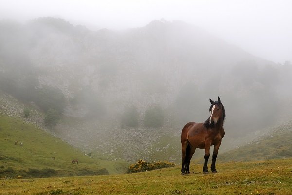 Gorbea - park krajobrazowy 1.jpg