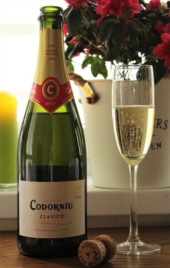 Codorníu Clásico Brut - wino hiszpańskie (DO Cava)