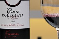 Bodegas Fariña - wina hiszpańskie DO Toro