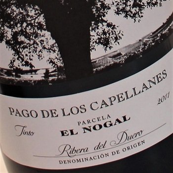 DO Ribera del Duero - noty degustacyjne win