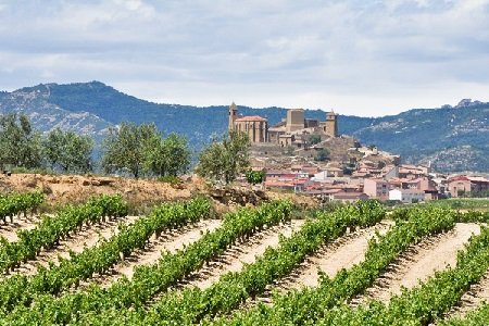 Wino Rioja 2.jpg