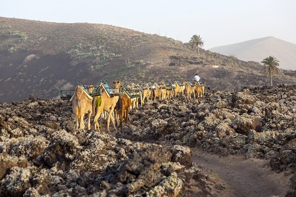 Park Narodowy Timanfaya (Lanzarote)