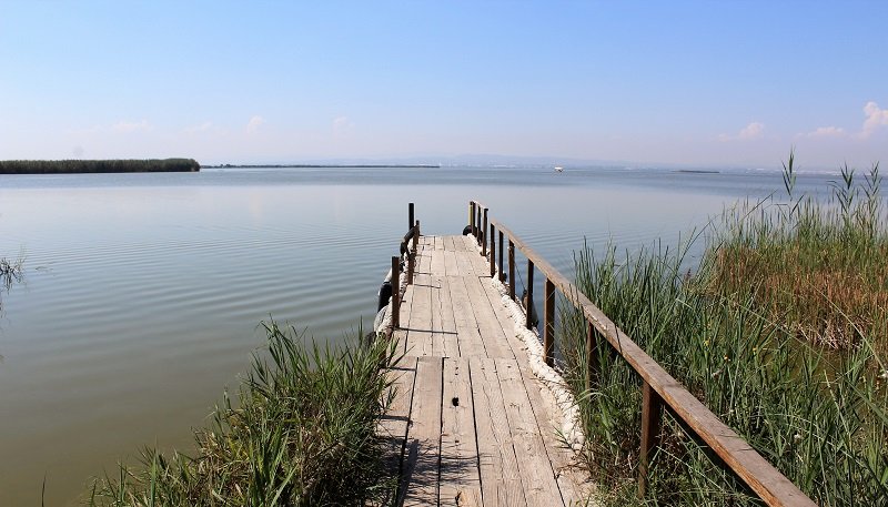 Wycieczki rowerowe z Walencji - jezioro Albufera