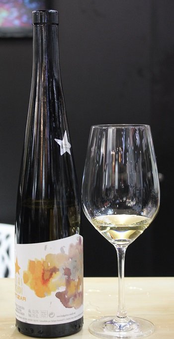 Itsasmendi Artizar 2012 - wino hiszpańskie txakoli