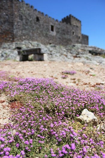 Estremadura, Hiszpania - Montanchez w prowincji Caceres