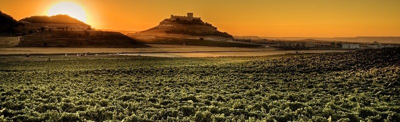 pago de carraovejas.jpg