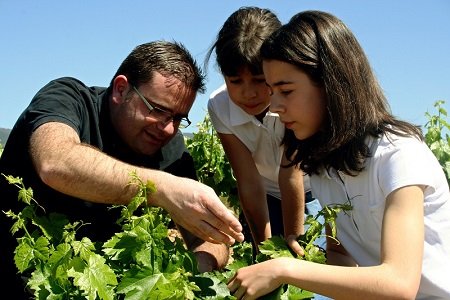 Bodegas Peique - wina mencía z regionu DO Bierzo