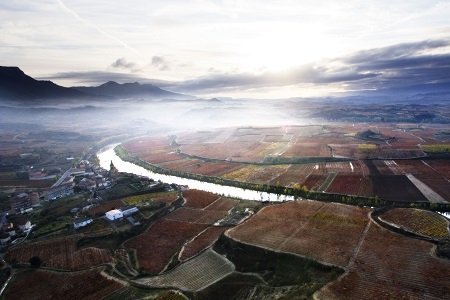 Wino Rioja 4.jpg