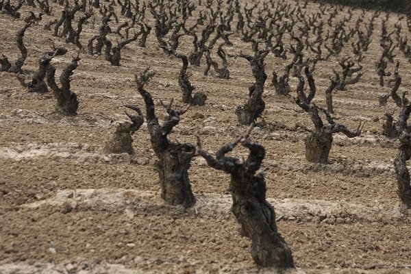 labastida bodega 8.jpg