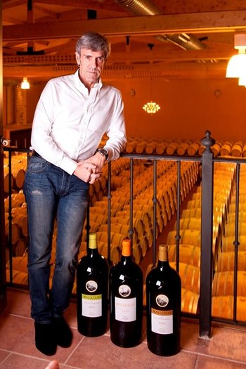 Wina Emilio Moro - DO Ribera del Duero