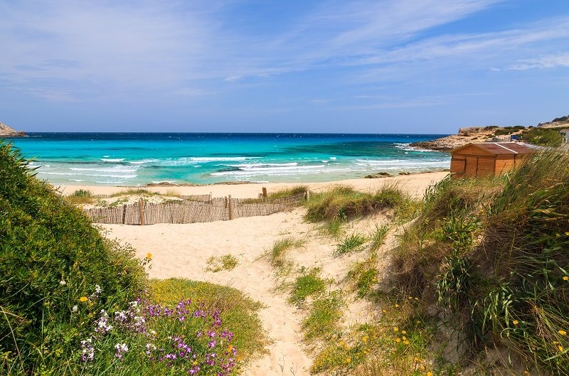 Dziewicza plaża Cala Agulla (Majorka)