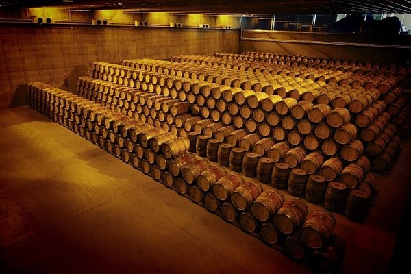 labastida bodega 4.jpg