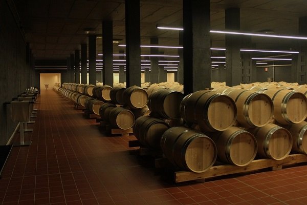 pago de carraovejas 6.jpg