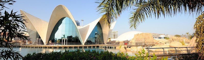 Oceanarium w Walencji - Oceanográfico de Valencia