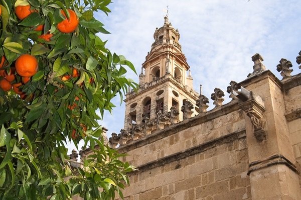 Mezquita - Kordoba 2.jpg