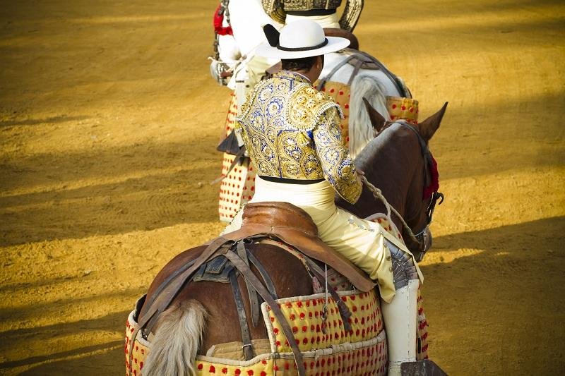 Hiszpańska korrida - picador. Corrida de toros.
