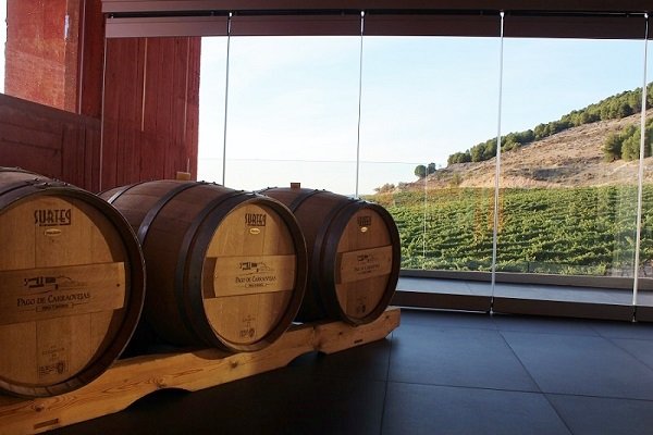 pago de carraovejas 10.jpg