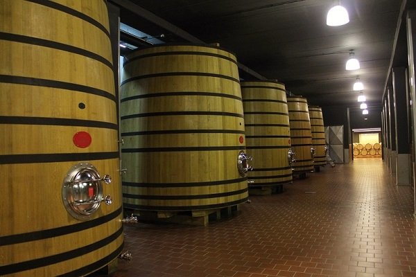 pago de carraovejas 5.jpg