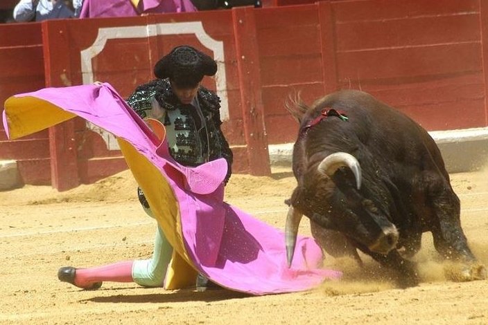 corrida - matador